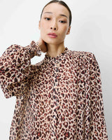 leo Almira