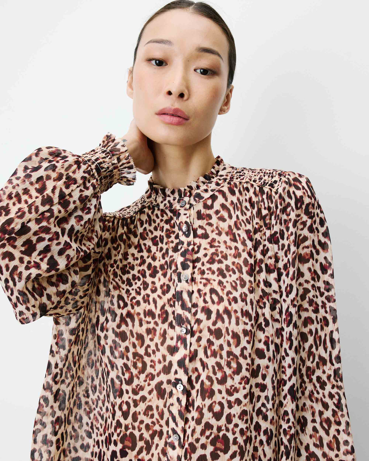 leo Almira