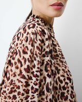 leo Almira