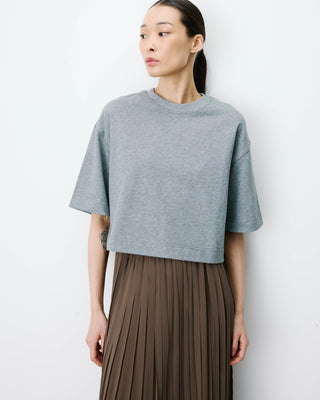 gris Arvel