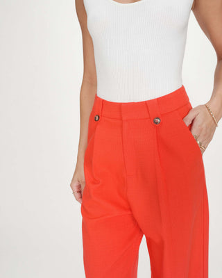 Straight tailored pants with pleats sanguine Pierre