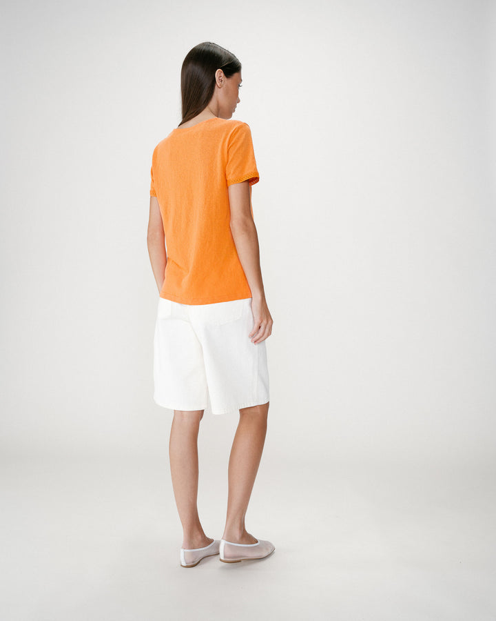 orange Willem